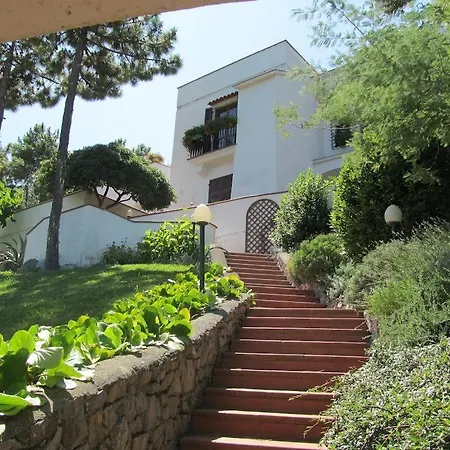 Terraces