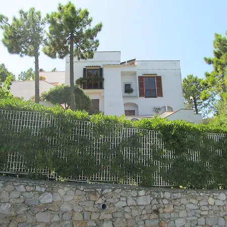 Terraces Appartement