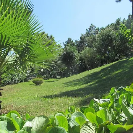 Terraces Noli